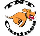 tnt